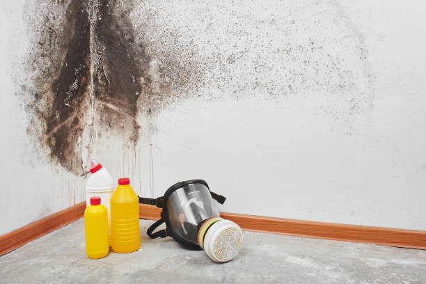 Mold Removal for HVAC Installations